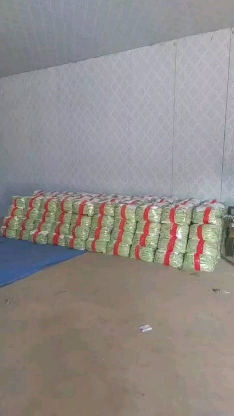 货量大，包装全，专业打包团队
