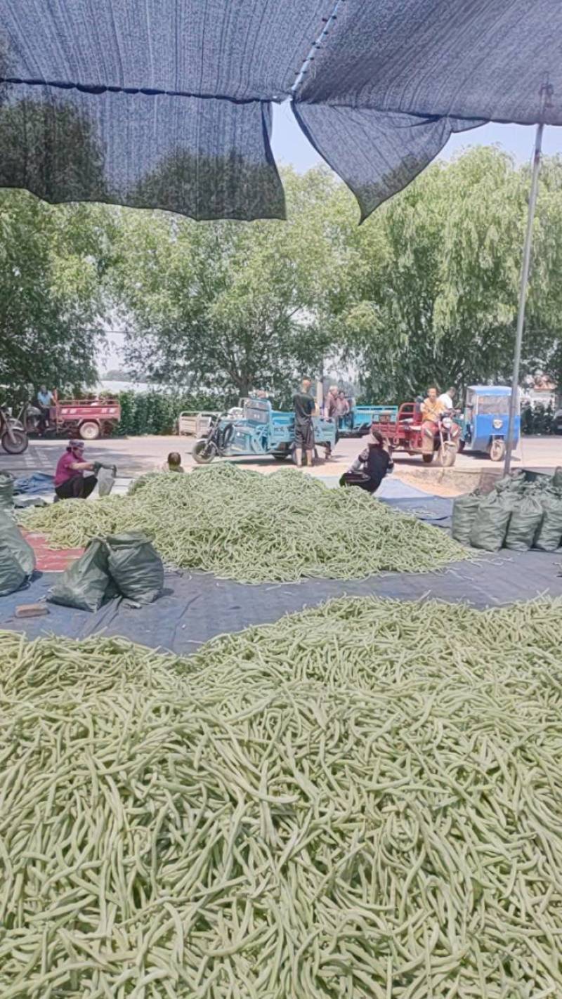 货量大，包装全，专业打包团队