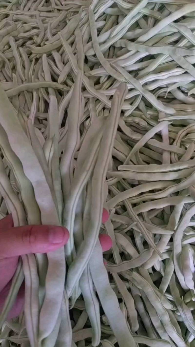 货量大，包装全，专业打包团队