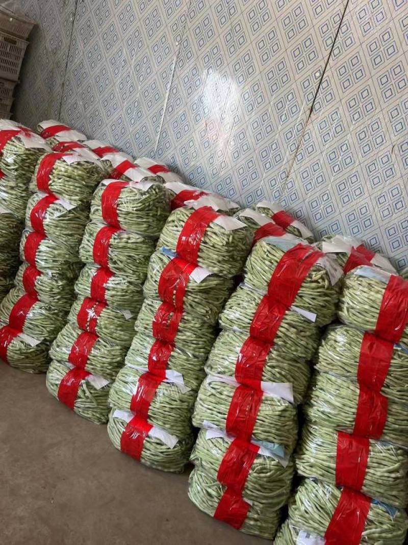 货量大，包装全，专业打包团队
