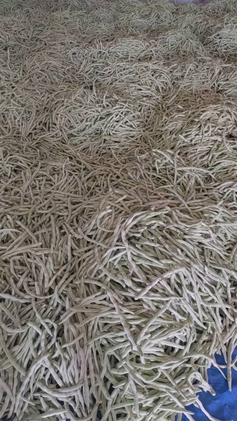 货量大，包装全，专业打包团队