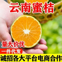 【有量有价】云南蜜橘大量供应各大平台电商一件