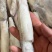 笔管鱼海兔单冻笔管鱼籽乌鱿鱼产地直发加州笔管鱼