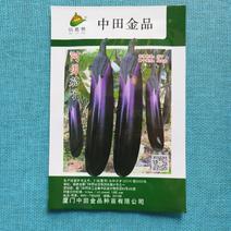 阿勇茄子紫红长茄子种子进口品种结果多不退色亩产2万斤