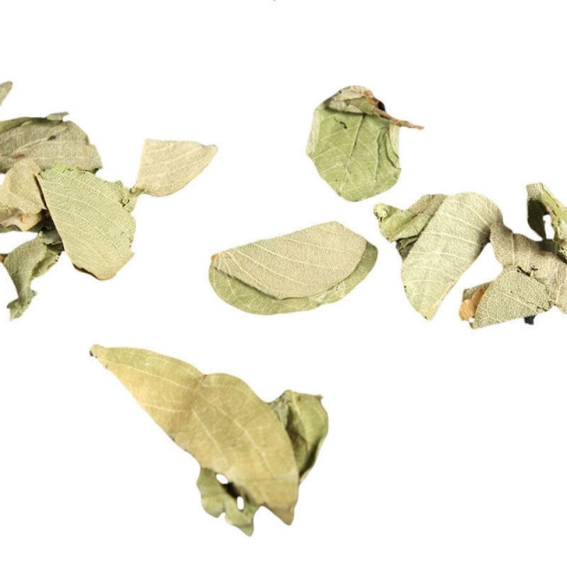 金钱草广金钱草中药材大叶金钱草金钱草化溶5OO克包邮