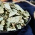 金钱草广金钱草中药材大叶金钱草金钱草化溶5OO克包邮