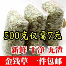 金钱草广金钱草中药材大叶金钱草金钱草化溶5OO克包邮