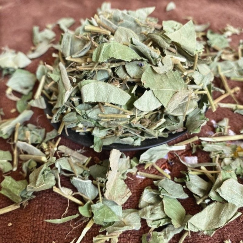 金钱草广金钱草中药材大叶金钱草金钱草化溶5OO克包邮