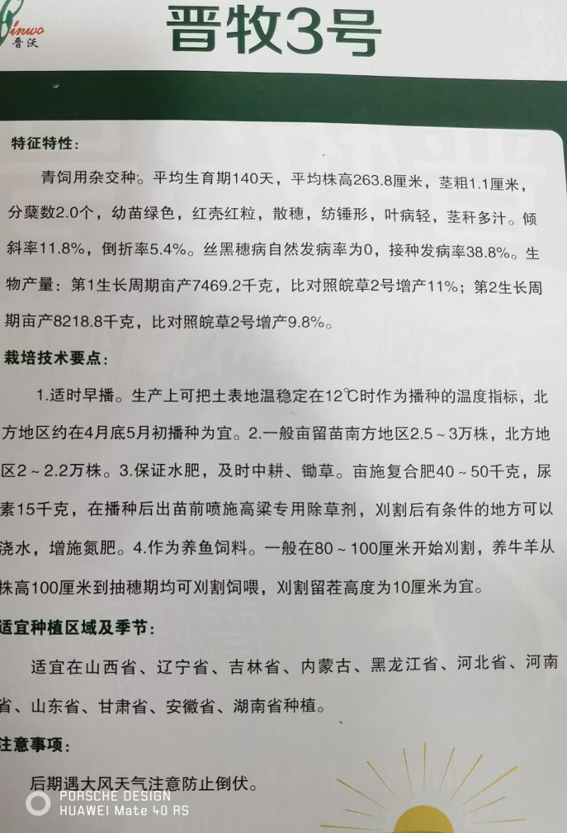 晋牧3号牧草高粱种子厂家直发抗病抗旱稳产高产