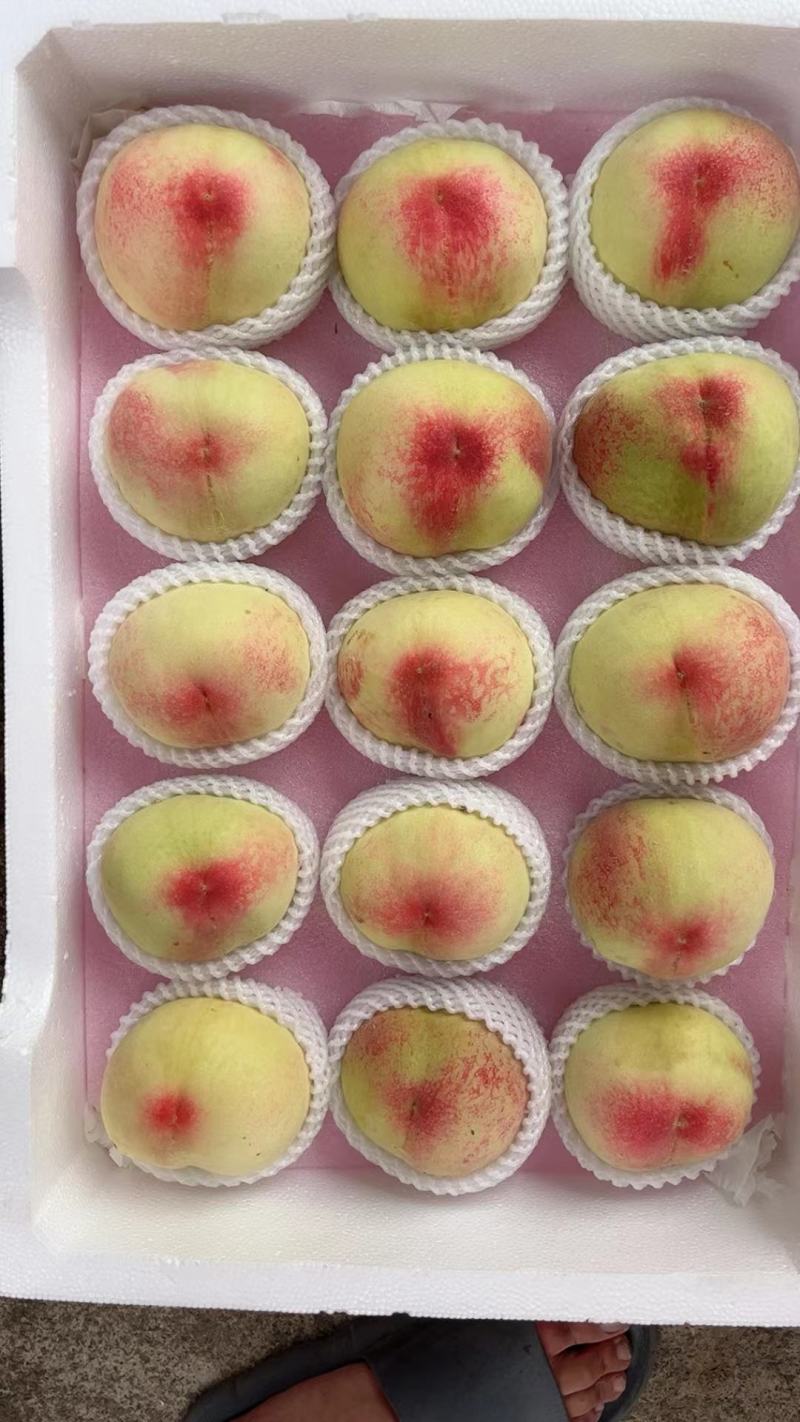 阳山水蜜桃承接各大电商天台桃子正宗货源稳定