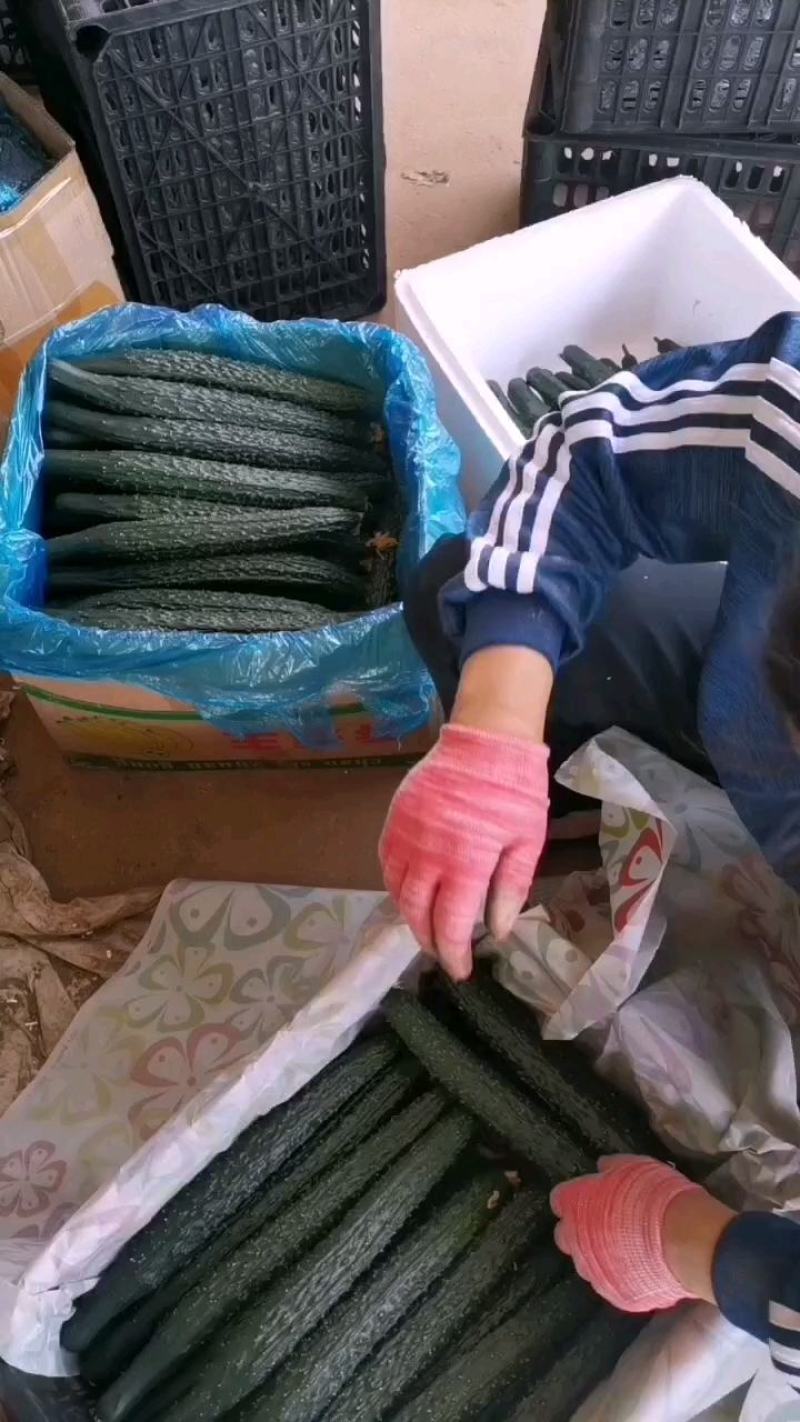 黄瓜
