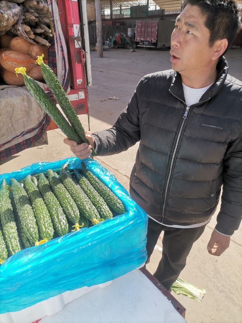 黄瓜