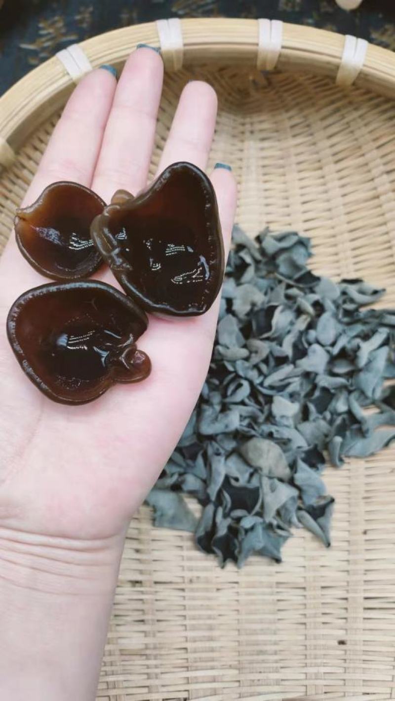 木耳碗耳东北黑木耳