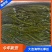 大连海带丝盐渍新鲜盐渍海带火锅凉拌菜卤菜海带丝