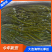 大连海带丝盐渍新鲜盐渍海带火锅凉拌菜卤菜海带丝