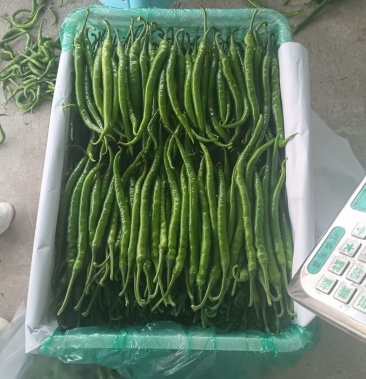 线辣椒，螺丝椒