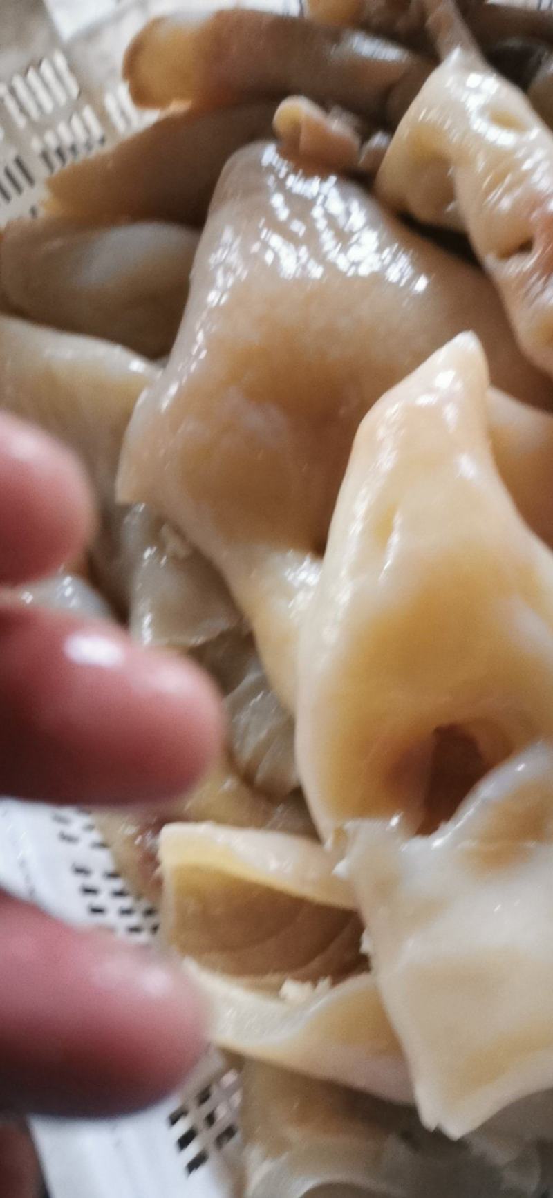 【熟牛拐筋】牛头皮，牛头的皮，
