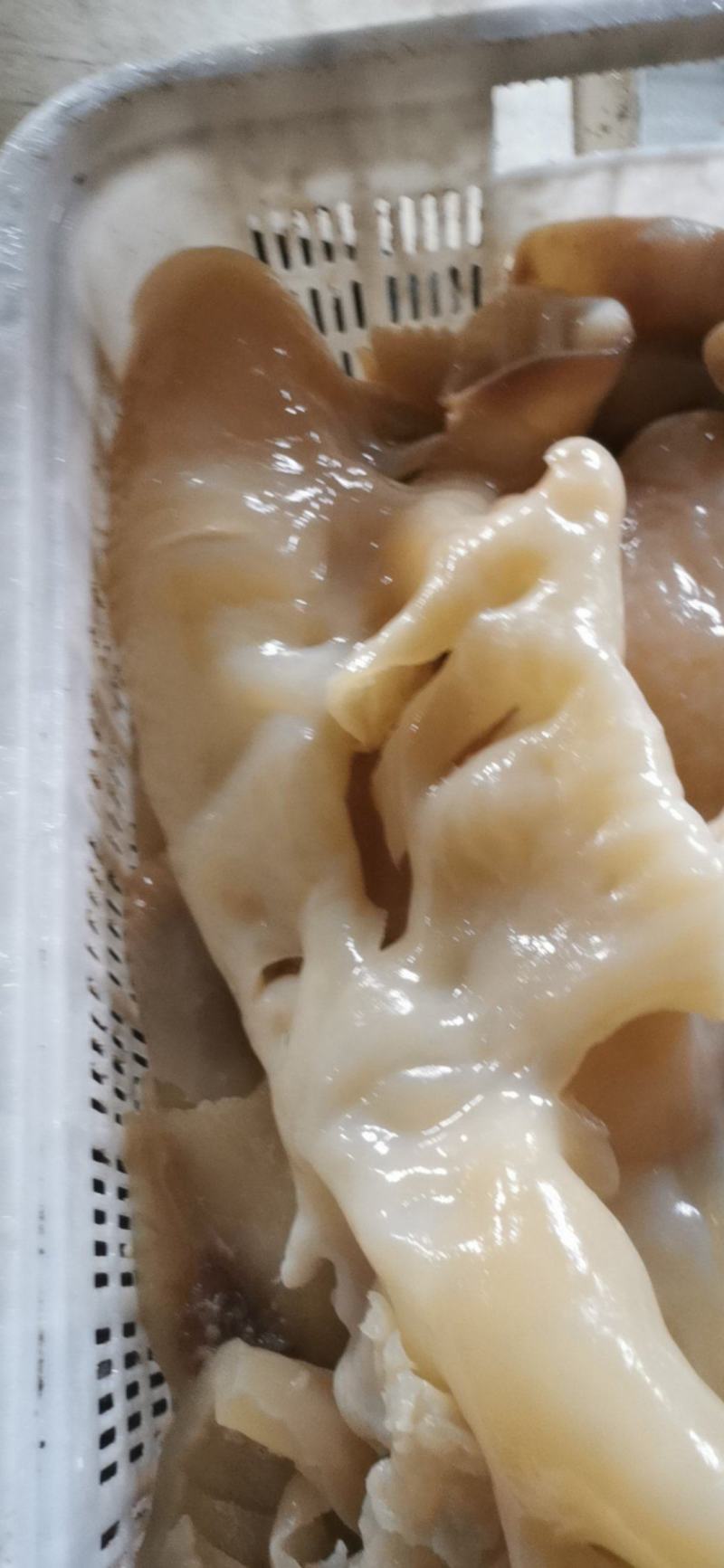 【熟牛拐筋】牛头皮，牛头的皮，