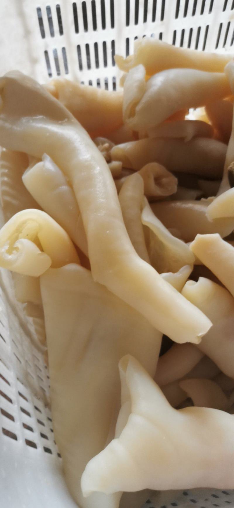 【熟牛拐筋】牛头皮，牛头的皮，