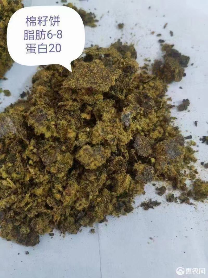 厂家直销棉籽饼质量稳定价格便宜