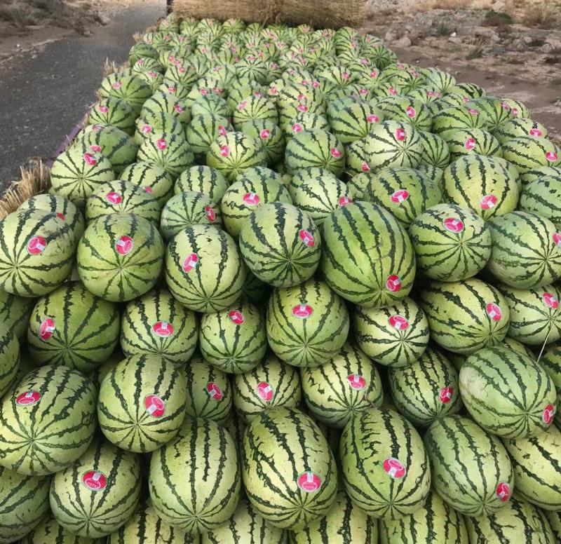 西瓜正品保障诚信经营