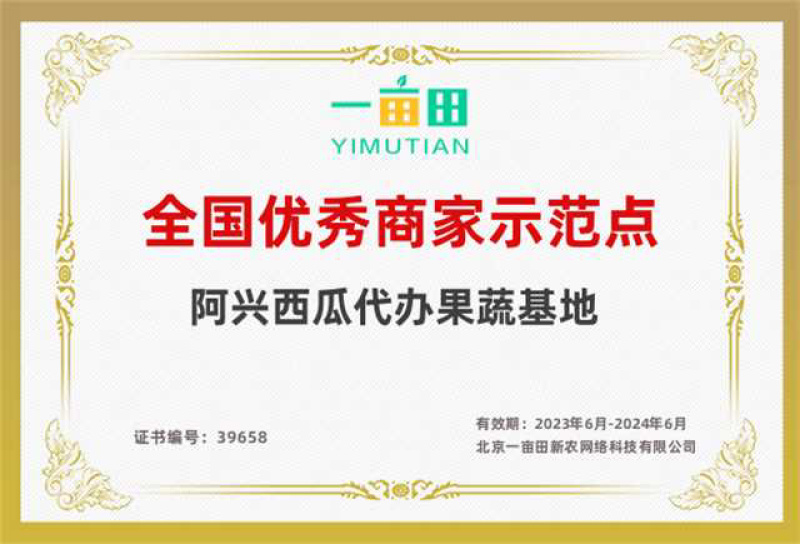 内蒙通辽沙地西瓜地雷瓜供应全国诚信经验保质保量