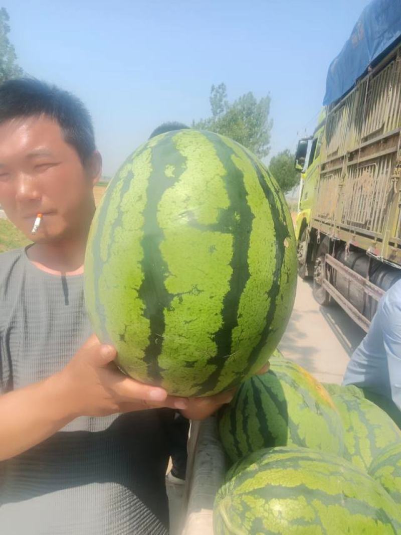 西瓜源头供应正宗