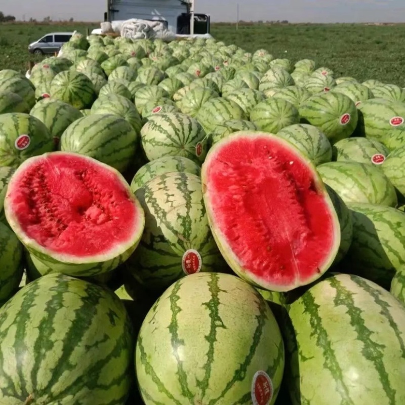 湖北西瓜硒砂瓜石头瓜产地直发大量上市可视频看货欢迎联系下单
