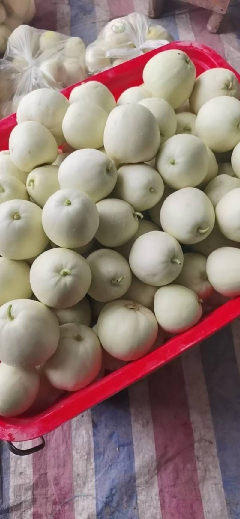 湖北白皮甜宝美浓甜瓜大量上市中，口红甜糖度高欢迎老板联系