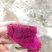 红花红心火龙果