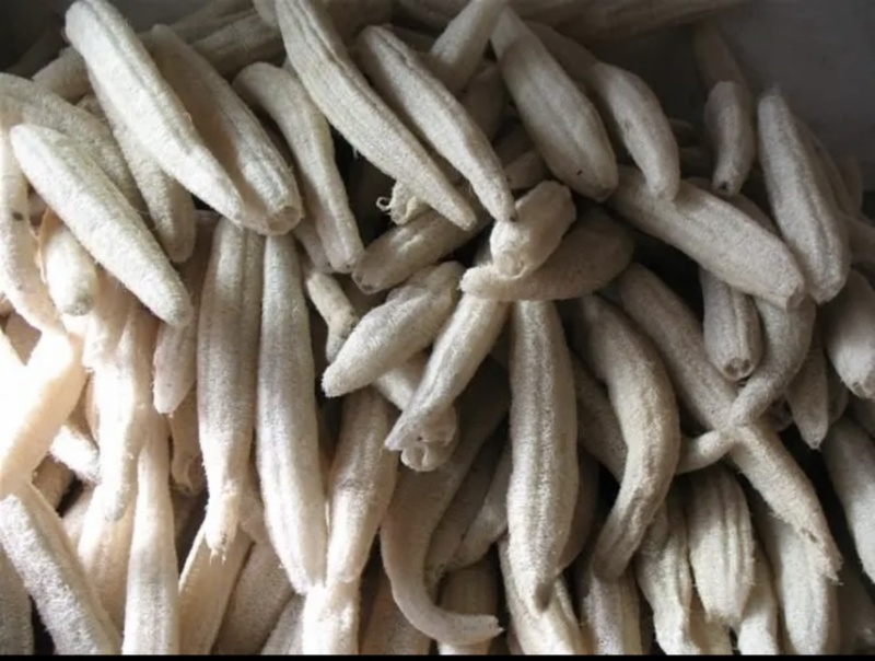 丝瓜洛