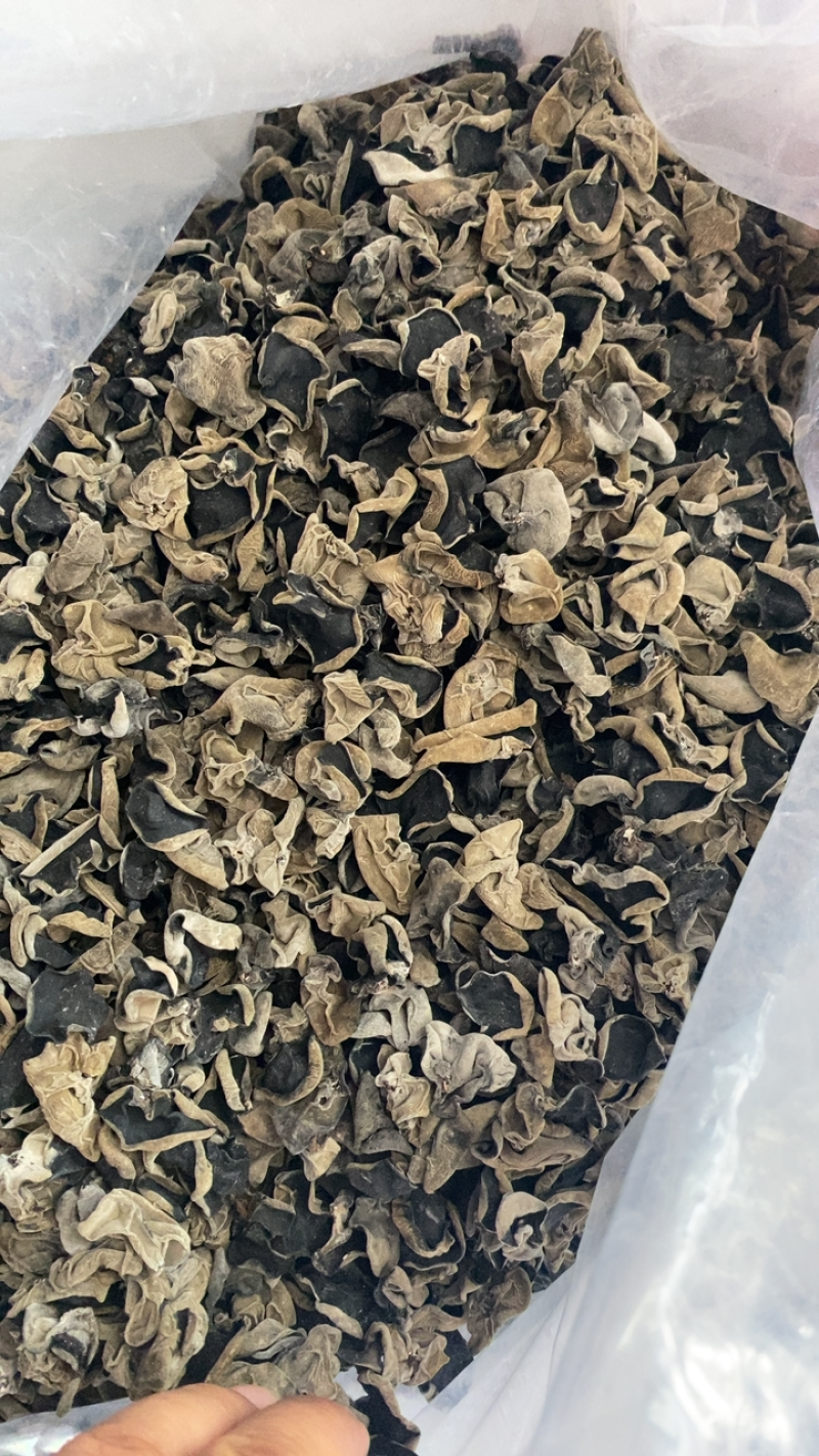 包邮黑木耳头茬好黑山1250形状好有厚度有现货