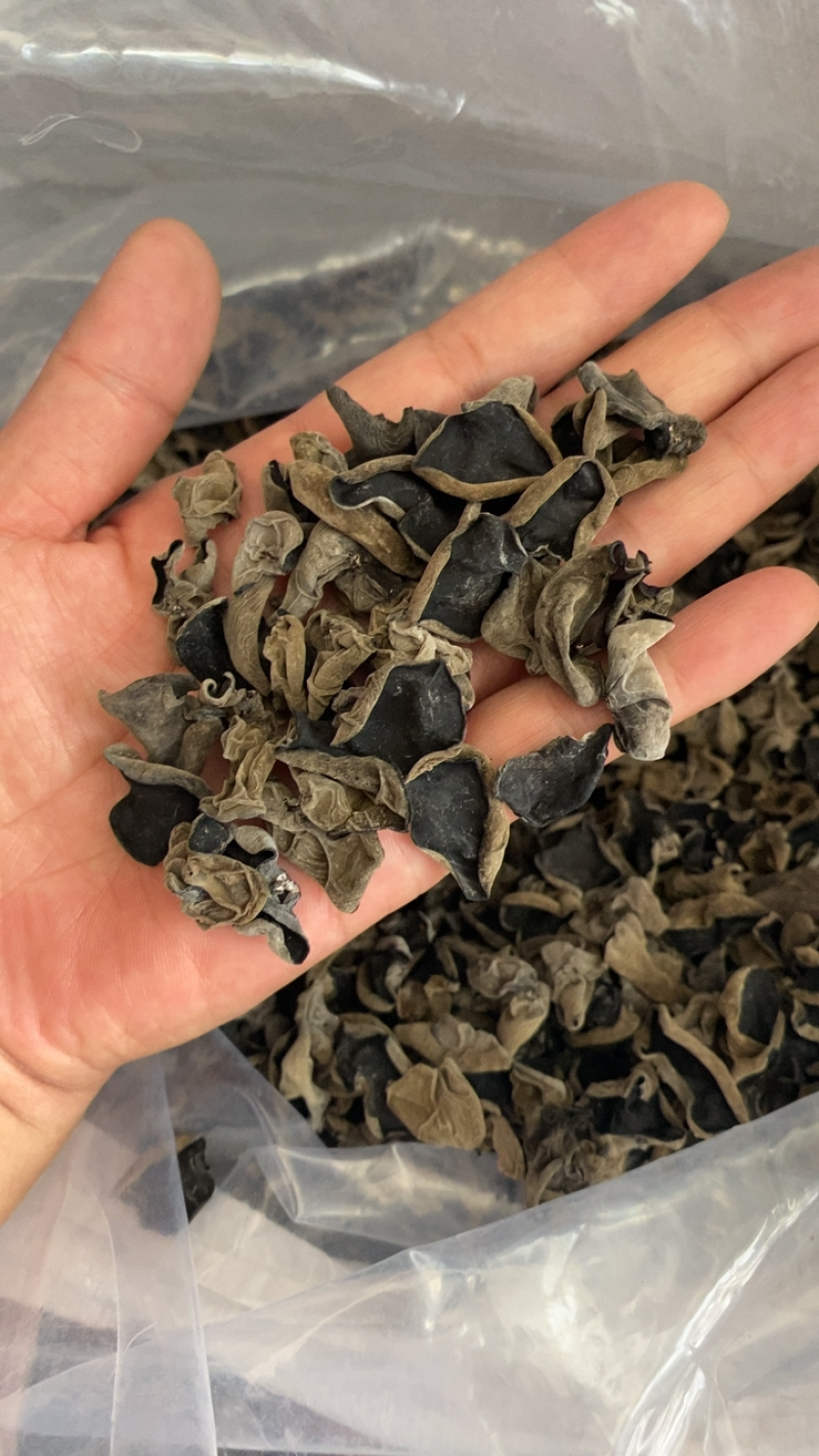 包邮黑木耳头茬好黑山1250形状好有厚度有现货