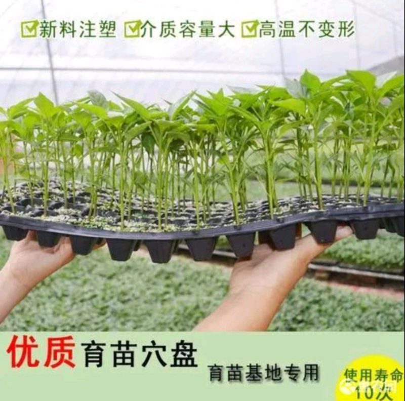 育苗穴盘育苗盘采用pe材质，防晒，有50、72等