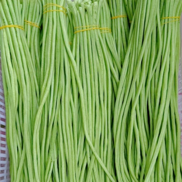 豆角