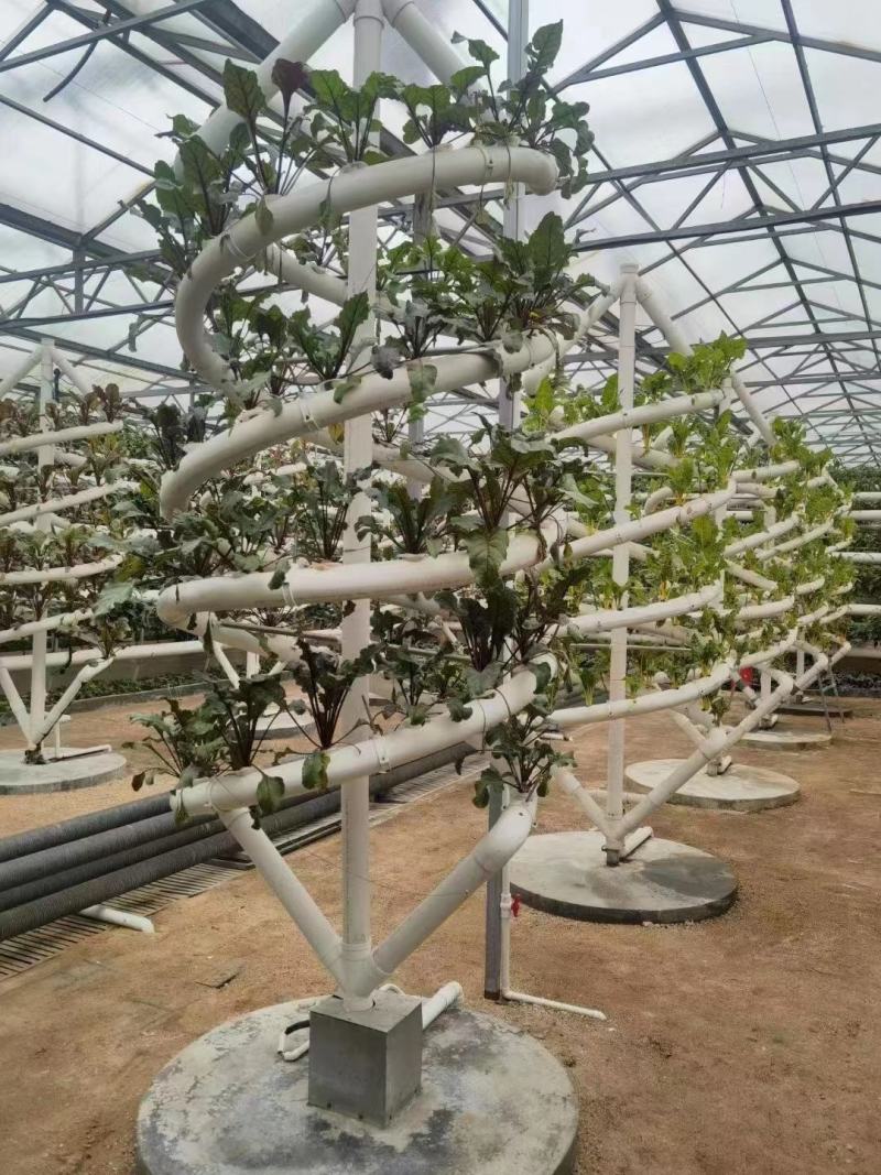 草莓基质，无土栽培水培草莓草莓营养土，草莓架