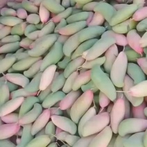 象牙一级果