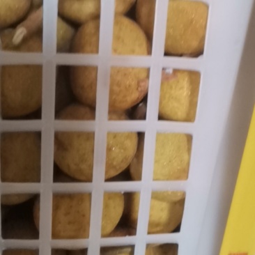 泰国新鲜龙眼