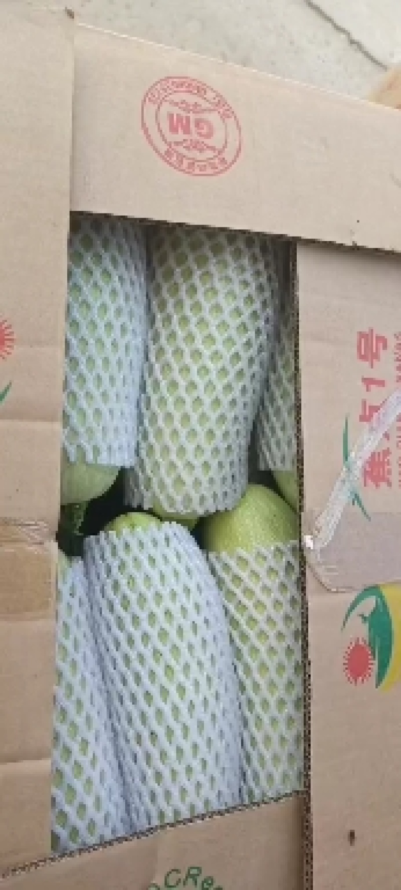 绿皮油葫芦