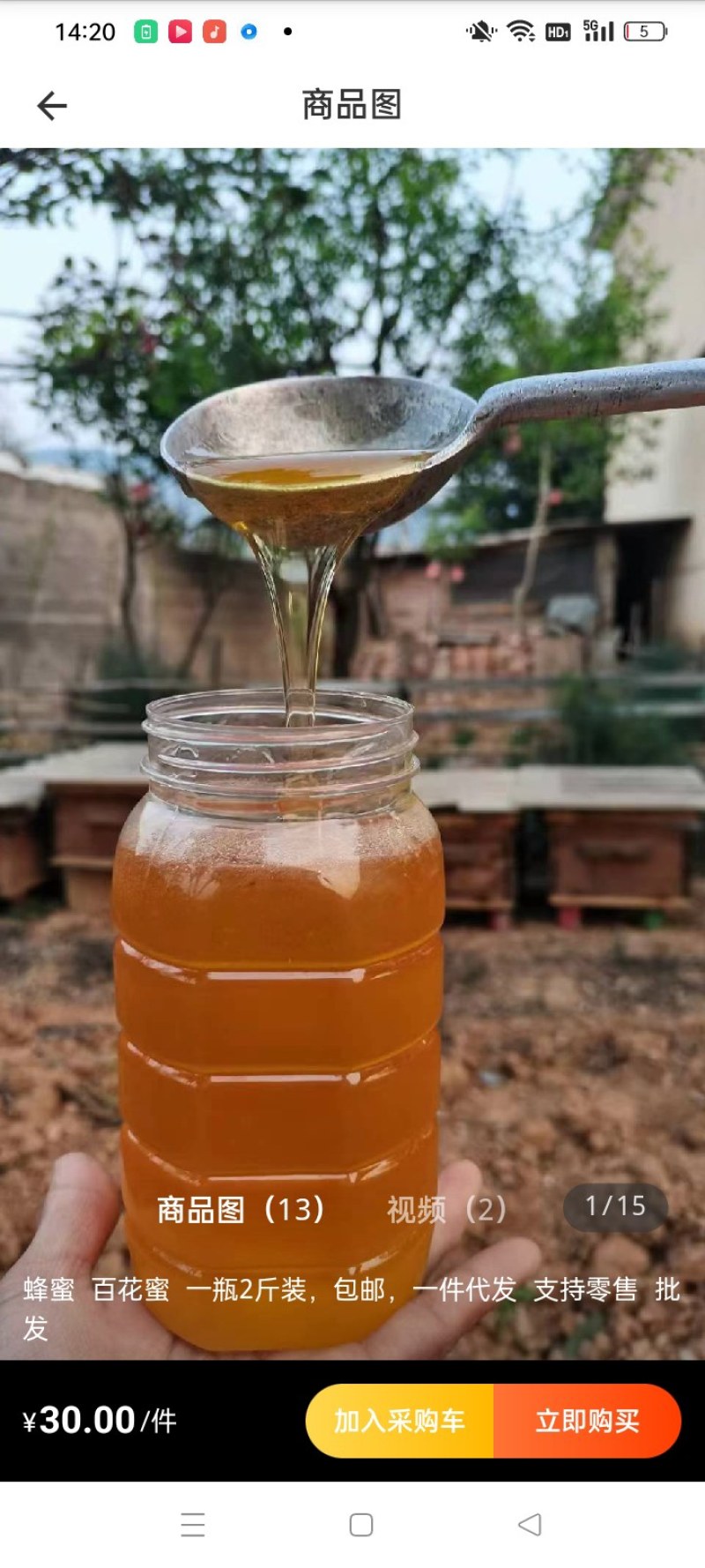 意蜂百花蜜