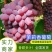 辽南精品茉莉香葡萄大量上市中，口感香甜，供应全国市场