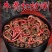 蚯蚓活饵鲜活红虫垂钓鱼饵料鲫鱼鲤鱼野钓黑坑鱼料打窝料鱼食