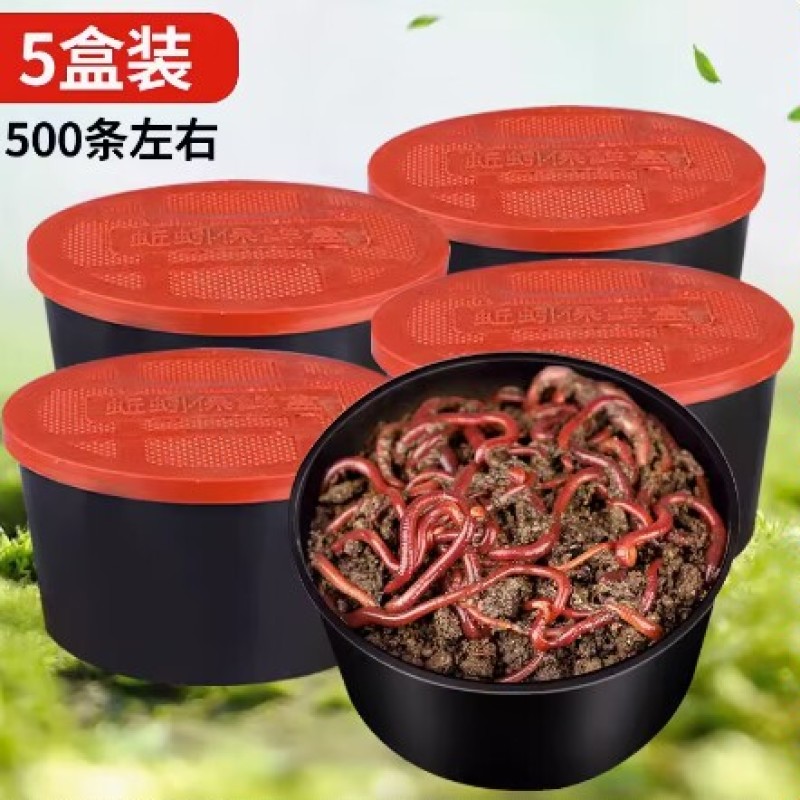 蚯蚓活饵鲜活红虫垂钓鱼饵料鲫鱼鲤鱼野钓黑坑鱼料打窝料鱼食