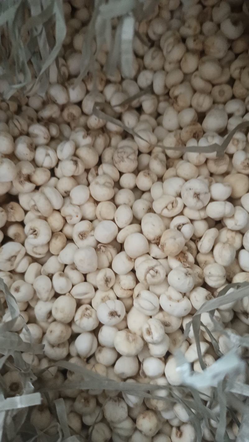 丹皮无硫统货抽芯率高地道药材品质好产地直销