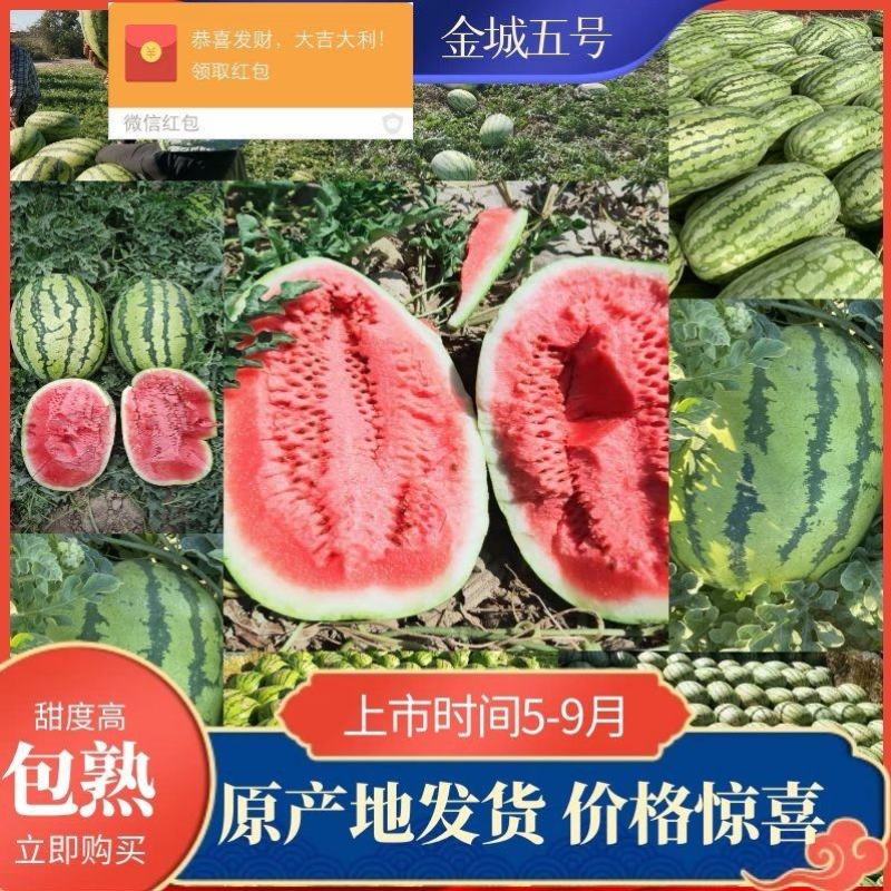 《推荐》宁夏中卫硒砂瓜石头瓜，货源充足，一手货源视频看