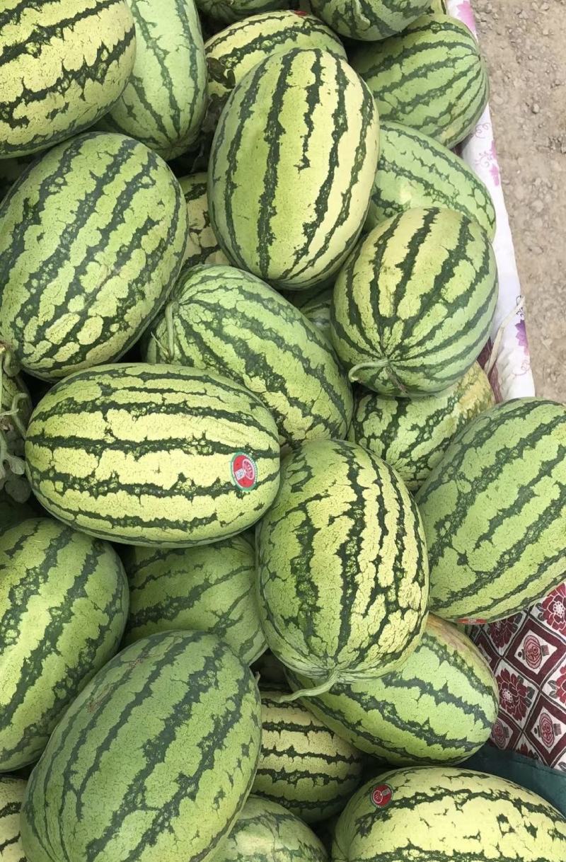 宁夏硒砂瓜个大甜度高包熟包甜一手货源可视频看货欢迎订购