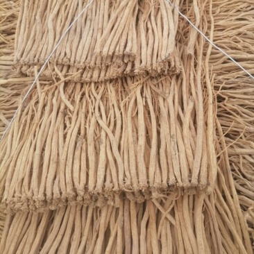 甘肃岷县白条党参，干品，质优，无虫蛀、无霉变、干度好。