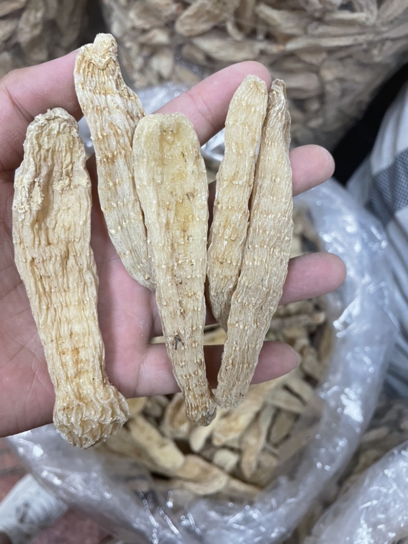云南天麻黄天麻天麻仿野生天麻小天麻大货批发
