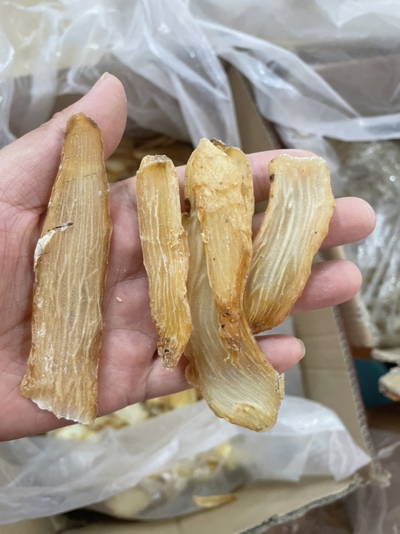 云南天麻黄天麻天麻仿野生天麻小天麻大货批发