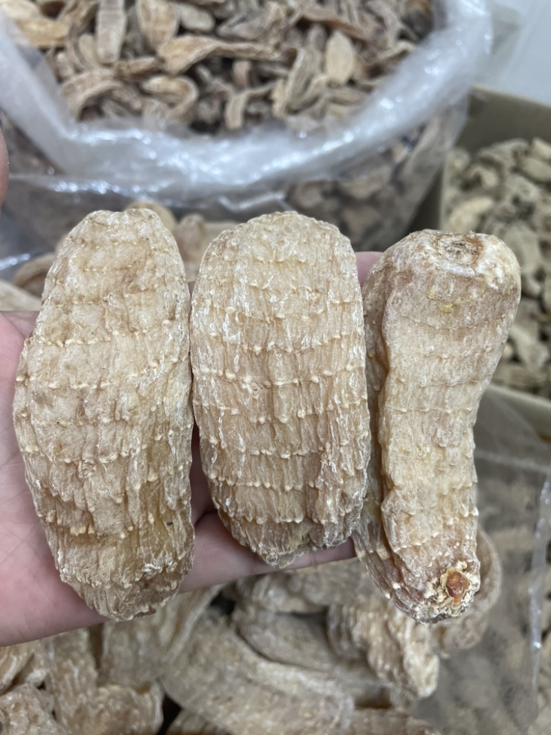云南天麻黄天麻天麻仿野生天麻小天麻大货批发